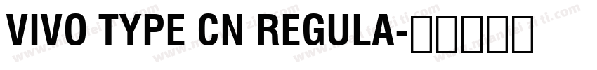 vivo type CN regula字体转换